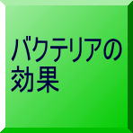 バクテリアの効果