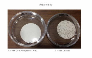 OE-1防カビ効果